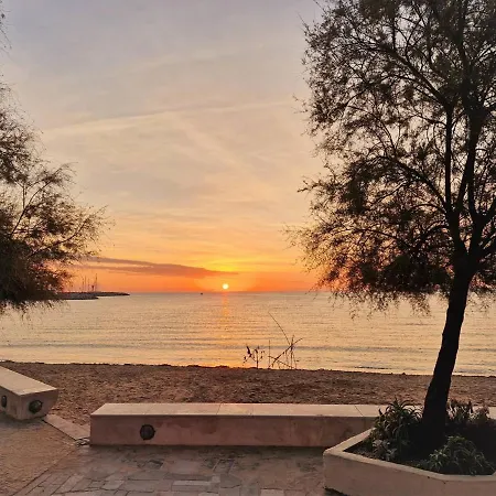 Studio Cabine, Piscine, Tennis, Parking, Proche Plage Et Commerces - Fr-1-251-481 Apartment
